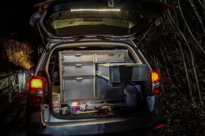 Stuttgart: Tierrettung endet tragisch